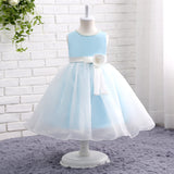 Sleeveless Appliques Organza Flower Girl Dress With Pearls WH12802