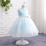 Sleeveless Appliques Organza Flower Girl Dress With Pearls WH12802