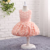 Ball Gown Round Neck Sleeveless Appliques Tulle Flower Girl Dress WH17818