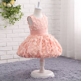 Ball Gown Round Neck Sleeveless Appliques Tulle Flower Girl Dress WH17818