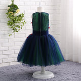 A Line V-Neck Sleeveless Sequins Appliques Tulle Flower Girl Dress WH16811