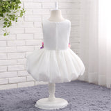 Ball Gown Round Neck Sleeveless Appliques Tulle Flower Girl Dress WH13819