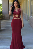 Wine Chiffon Mesh Long Sleeves Lace Applique Slim Long Prom Dress