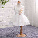 Round Neck Appliques Tulle Flower Girl Dress WH11810