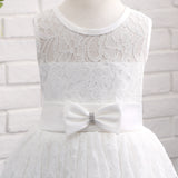 A Line Round Neck Sleeveless Lace Flower Girl Dress WH14807