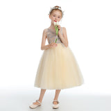 Daffodil Sleeveless V Back Tulle Flower Girl Dress