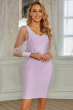 Gorgeous Light Purple Tulle Long Sleeves Short Homecoming Dress