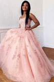 Pretty A Line Sleeveless Appliques Pink Tulle Long Prom Dress Formal Gown