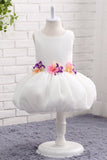 Ball Gown Round Neck Sleeveless Appliques Tulle Flower Girl Dress WH13819