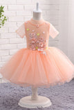 A Line Round Neck Short Sleeve Floral Tulle Flower Girl Dress WH14805