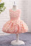 Ball Gown Round Neck Sleeveless Appliques Tulle Flower Girl Dress WH17818