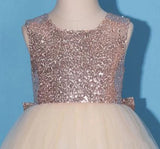 Princess Gold Sequin Shiny Round Neck Flower Girl Dress with Bowknot Baby Dress FG1022