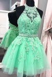 Sexy Halter Tulle Short New Arrival Appliques Cute Mini Homecoming Dress PM97