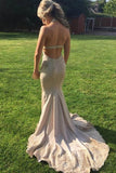 Elegant V-Neck Halter Mermaid Appliques Prom Dress with Beadding Backless Party Dress P1355